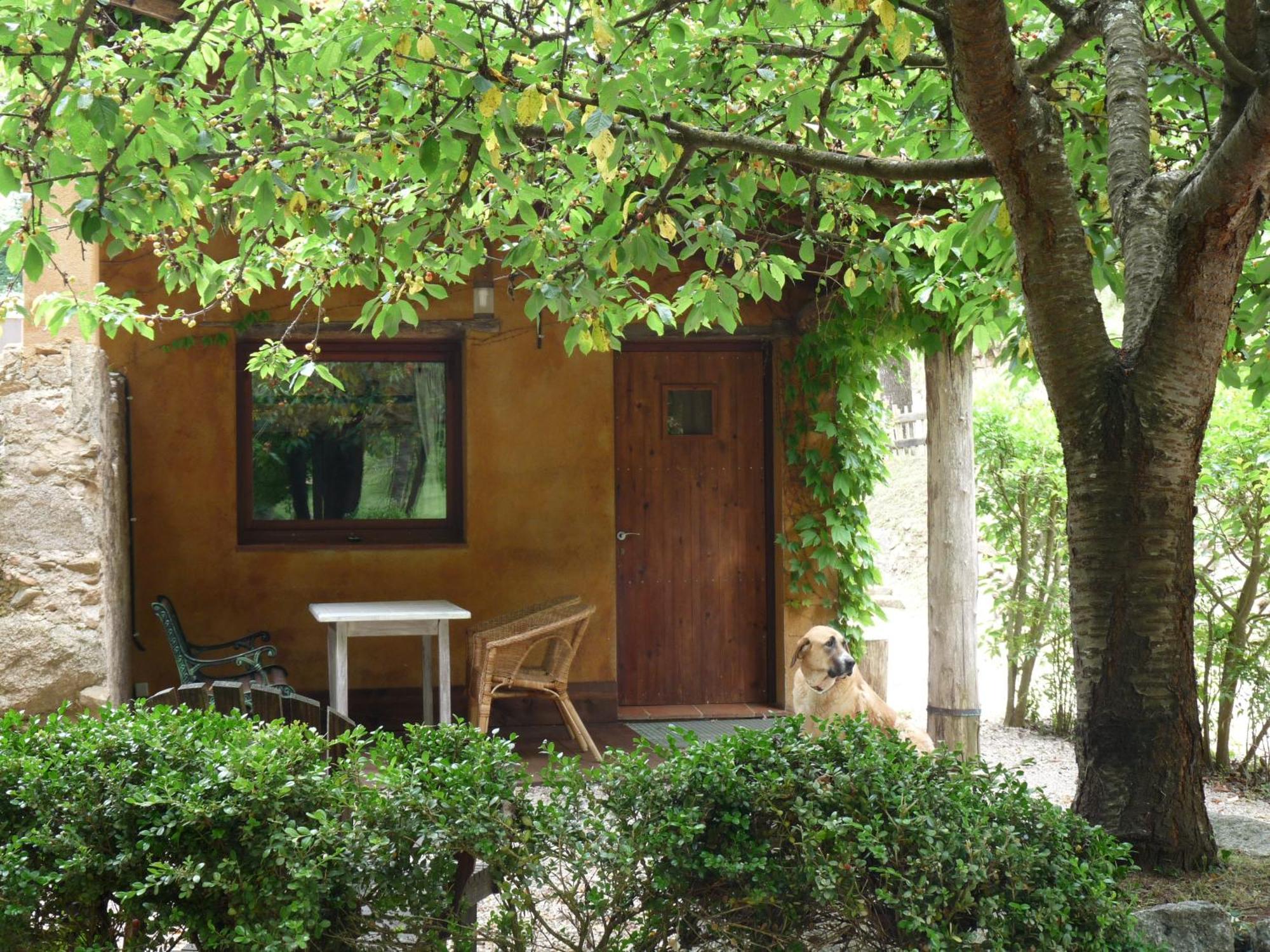 Masía El Moli de Can Aulet Casa de hóspedes Arbúcies Exterior foto